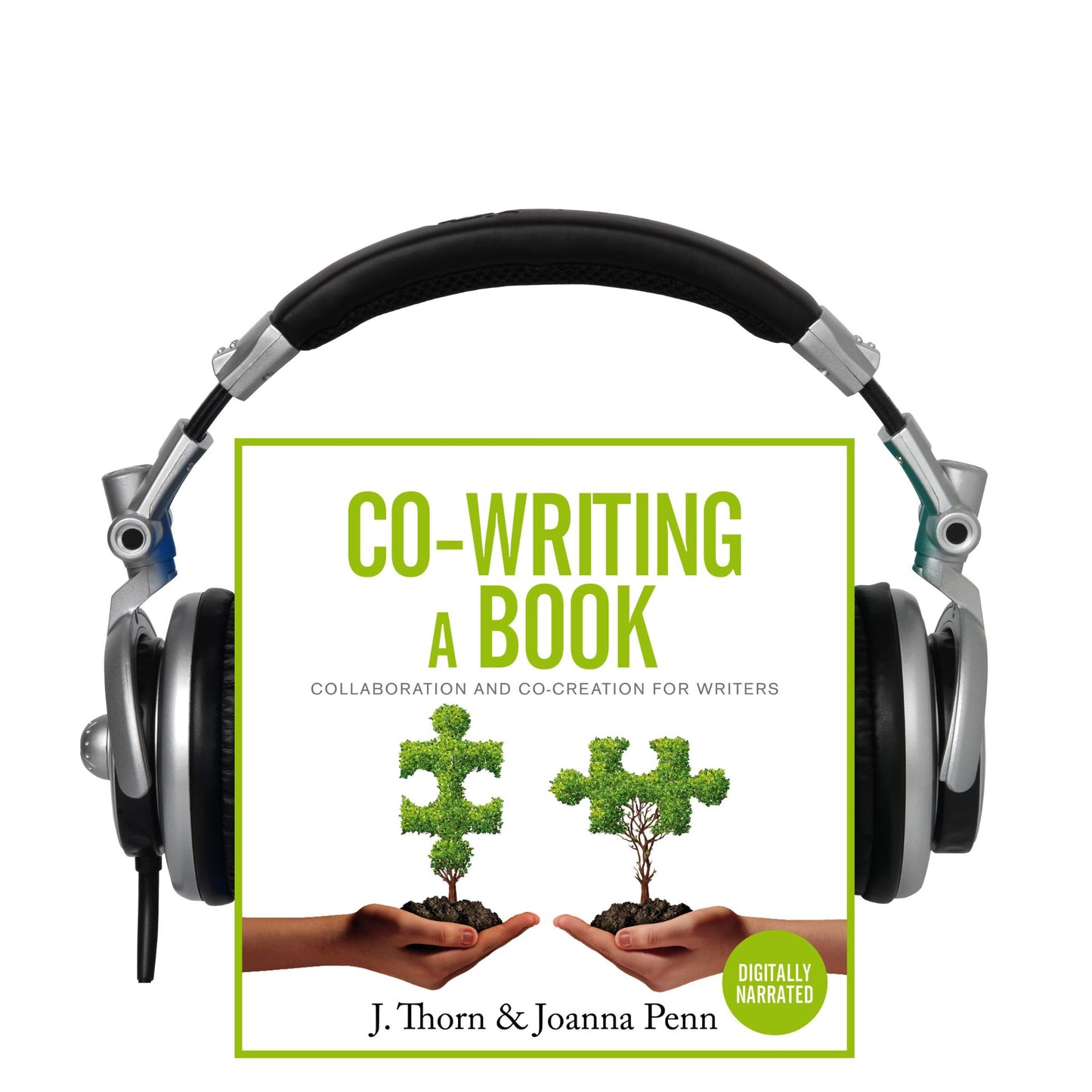 Co-Writing A Book: Collaboration and Co-Creation for Authors Digitally-Narrated Audiobook